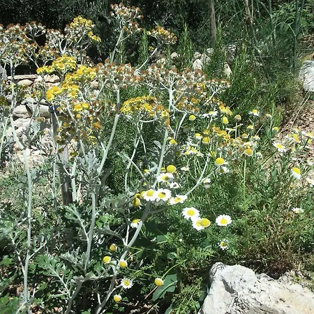 Croatia Art Apartamento Drasnice