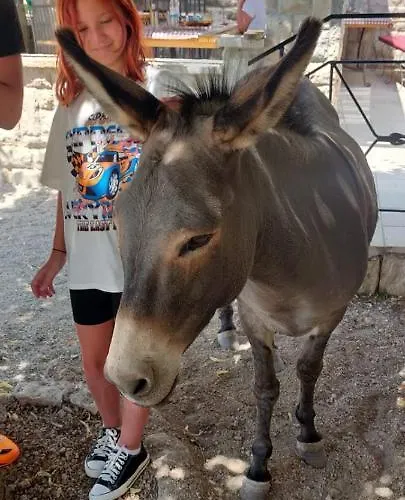 Lejlighed Croatia Art *