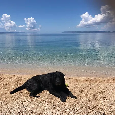 Lägenhet Croatia Art