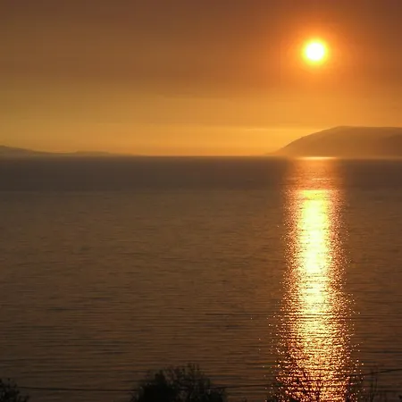 Croatia Art Daire *